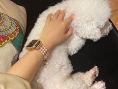 -more than meow吴止猫主题餐厅(承德 中船汇店)