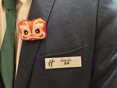 -上海浦东康桥绿地假日酒店