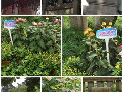 -汇龙潭