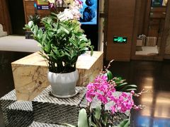 -黔蘑菇四季餐厅(观山湖店)