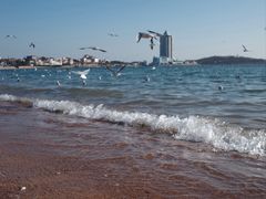 -青岛第一海水浴场