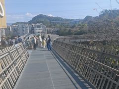 -福道