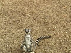-秦皇岛野生动物园