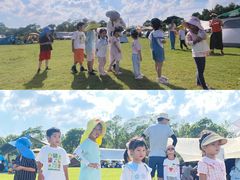 -春花秋色城市公园