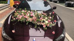 -蚂蚁婚车