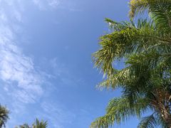 -厦门日月谷温泉渡假村