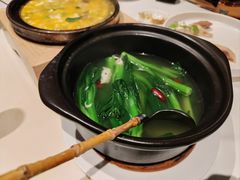 -侨美食家·40年地道粤菜(珠江新城店)