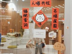 -COLOR PETS 撸猫馆·购猫·猫咖(长风大悦城店)