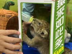 -广州长隆野生动物世界