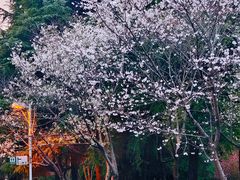 -白塘生态植物园