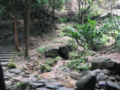 -火炉山森林公园