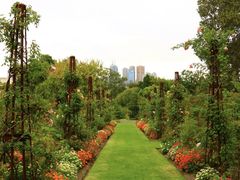 -墨尔本皇家植物园
