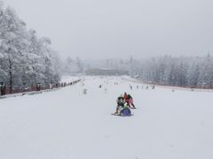 -长白山红松王滑雪场