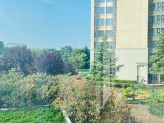 -南阳建业森林半岛假日酒店