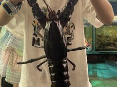 -粤盛海鲜平价店(洛溪食街店)
