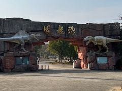 -上海海湾国家森林公园