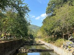 -广州白江湖森林公园