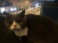 -悠米私人影院(街道口店)