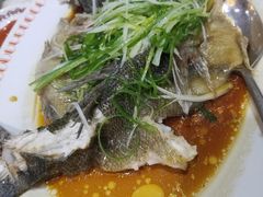 -凤城礼记鱼翅海鲜酒家(新马路总店)