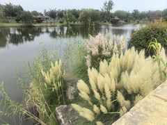 -必胜客(周浦万达店)