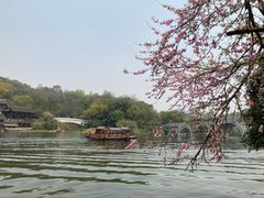 -重庆园博园