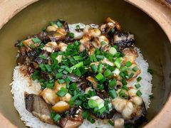 -红星光发煲仔饭(文海店)