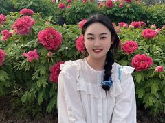 -曹州牡丹园