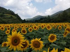 -山西壶关太行山大峡谷旅游景区