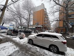 -红满天红焖羊排(大西菜行店)