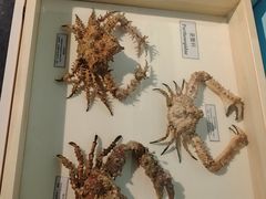 -中国湿地博物馆