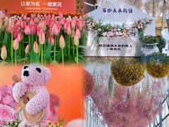-上海鲜花港