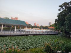 -荔湾湖公园