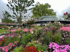 -上海植物园-4号门售票处