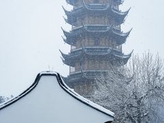 -红梅公园
