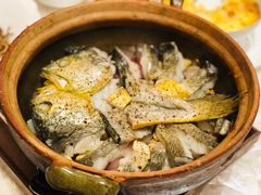 -人间采蜜(海信广场店)