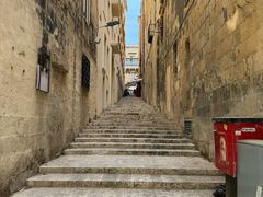 -上巴拉卡花园和下巴拉卡花园