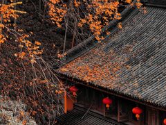 -杭州上天竺法喜讲寺
