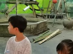 -柳州市动物园