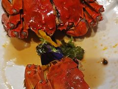-杨氏青龙虾·羊蝎子(珠江路店)