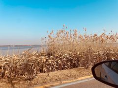 -祝甸砖窑文化馆