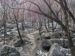 -阳台山自然风景区