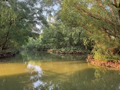 -大湾区中央湿地公园