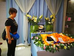 -彩虹桥宠物火化殡葬善终服务(金乐大厦店)