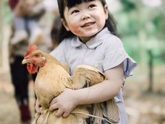 -东方爱婴早教·托育·自然课程