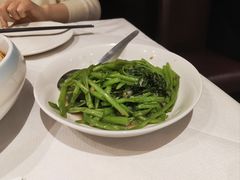 -峨嵋一派