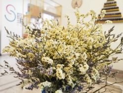 -星漾美学美容美体中心