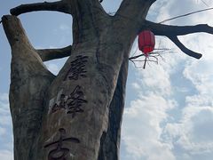 -长沙黑麋峰国家森林公园