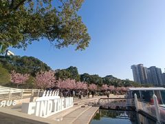 -新江湾城公园