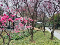 -USTC1958东区·by UNILAB