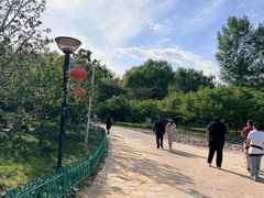 -燕郊植物园